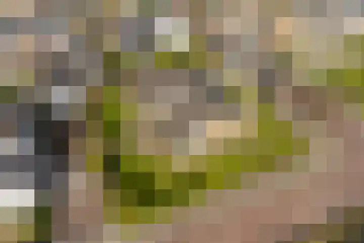 Goohorstlaan 7 Noordwijk thumbnail 34
