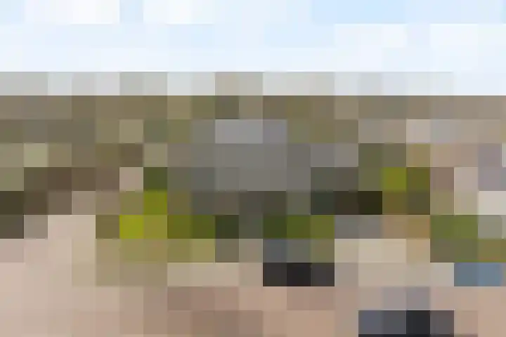 Goohorstlaan 7 Noordwijk thumbnail 4
