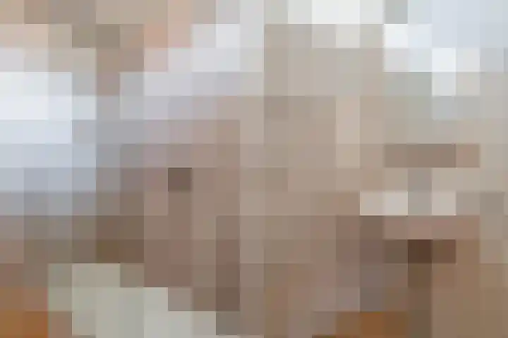 Goohorstlaan 9 Noordwijk thumbnail 20