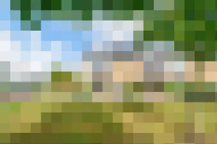 Goohorstlaan 9 Noordwijk thumbnail 43