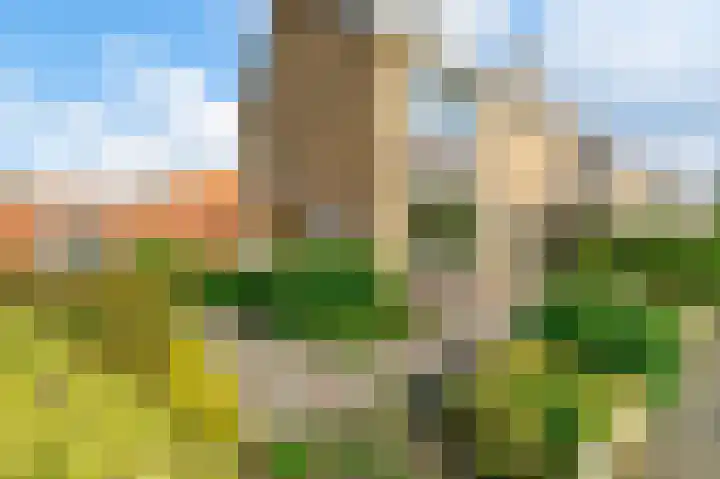 Goohorstlaan 9 Noordwijk thumbnail 44