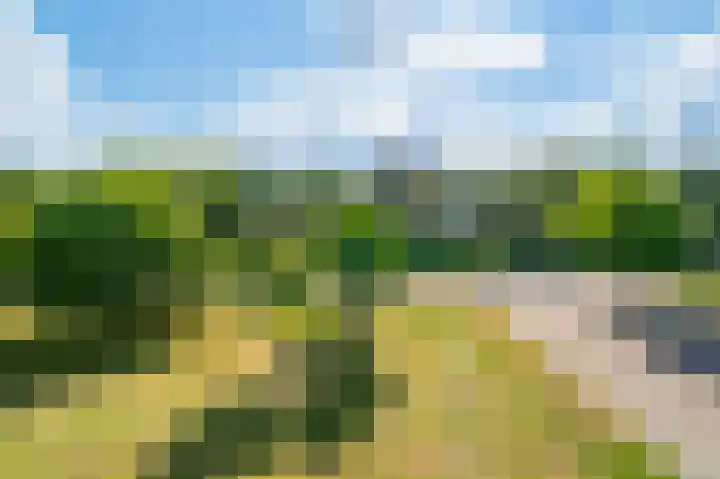 Goohorstlaan 9 Noordwijk thumbnail 49