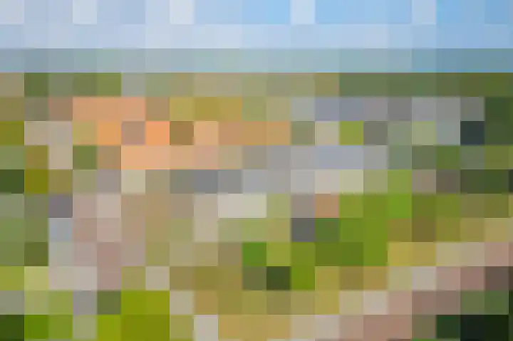 Goohorstlaan 9 Noordwijk thumbnail 52
