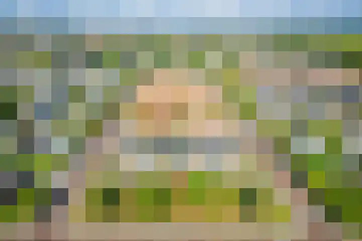 Goohorstlaan 9 Noordwijk thumbnail 53