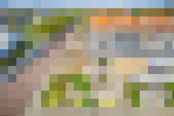 Goohorstlaan 9 Noordwijk thumbnail 54