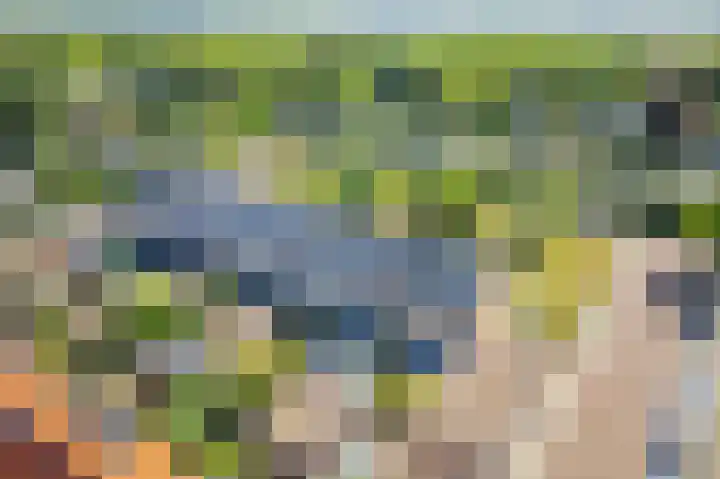 Goohorstlaan 9 Noordwijk thumbnail 55