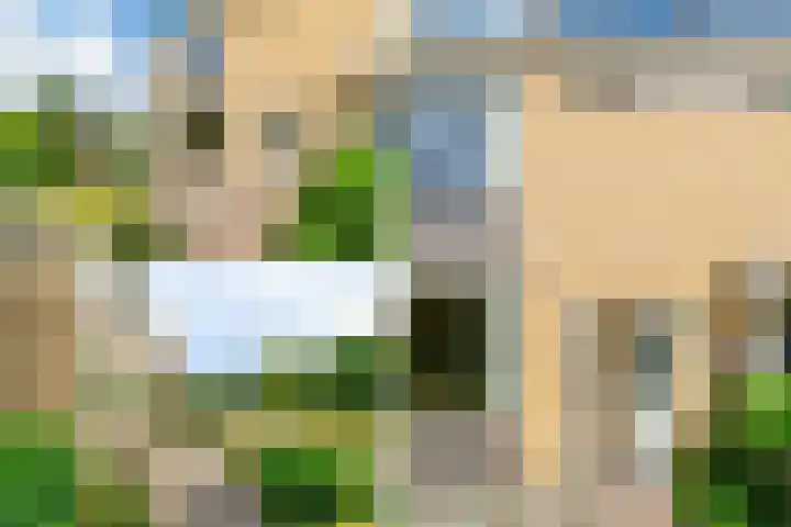 Goohorstlaan 9 Noordwijk thumbnail 6
