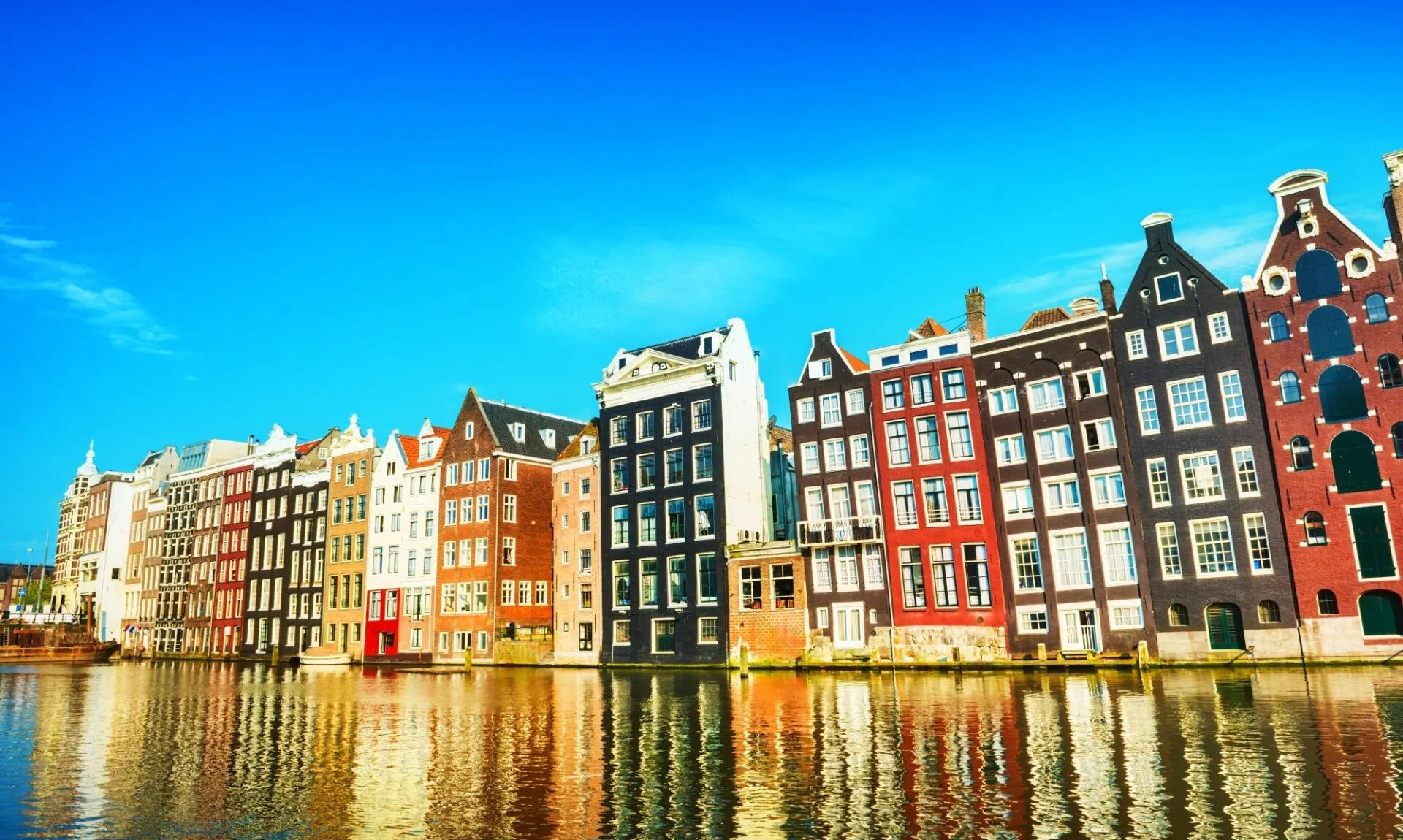 Team foto van Gooi en Vechtstreek Makelaars