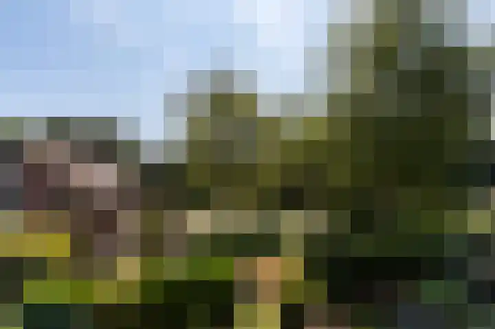 Gooiberg 29 Bussum thumbnail 24