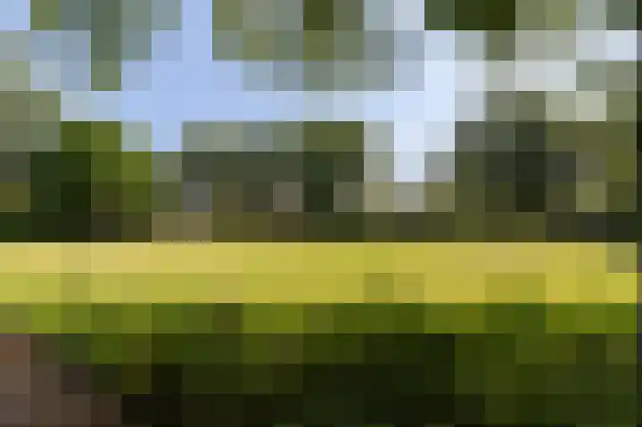 Gooiberg 29 Bussum thumbnail 25