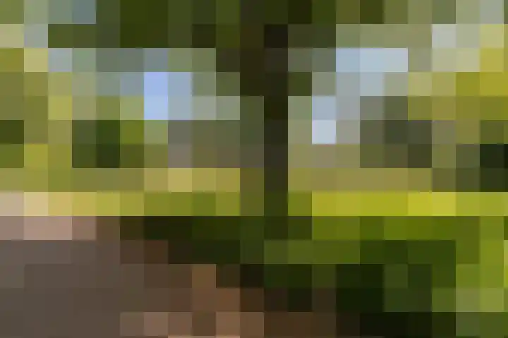 Gooiberg 29 Bussum thumbnail 26