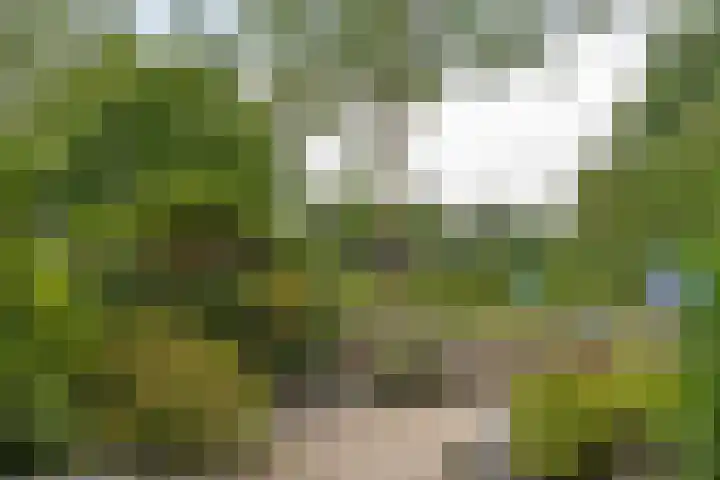 Gooiergracht 109 Laren thumbnail 13