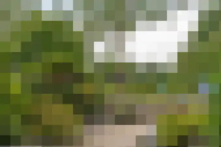 Gooiergracht 109 Laren thumbnail 14