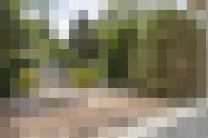 Gooiergracht 109 Laren thumbnail 21