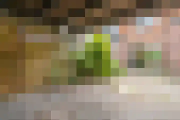 Gooiergracht 109 Laren thumbnail 44