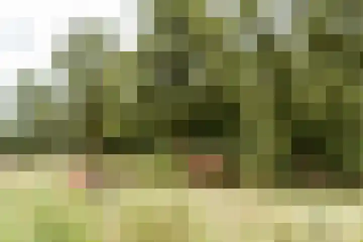 Gooiergracht 109 Laren thumbnail 5