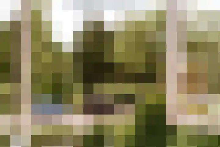 Gooiergracht 109 Laren thumbnail 62