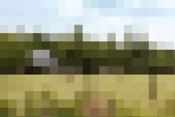 Gooiergracht 109 Laren thumbnail 90