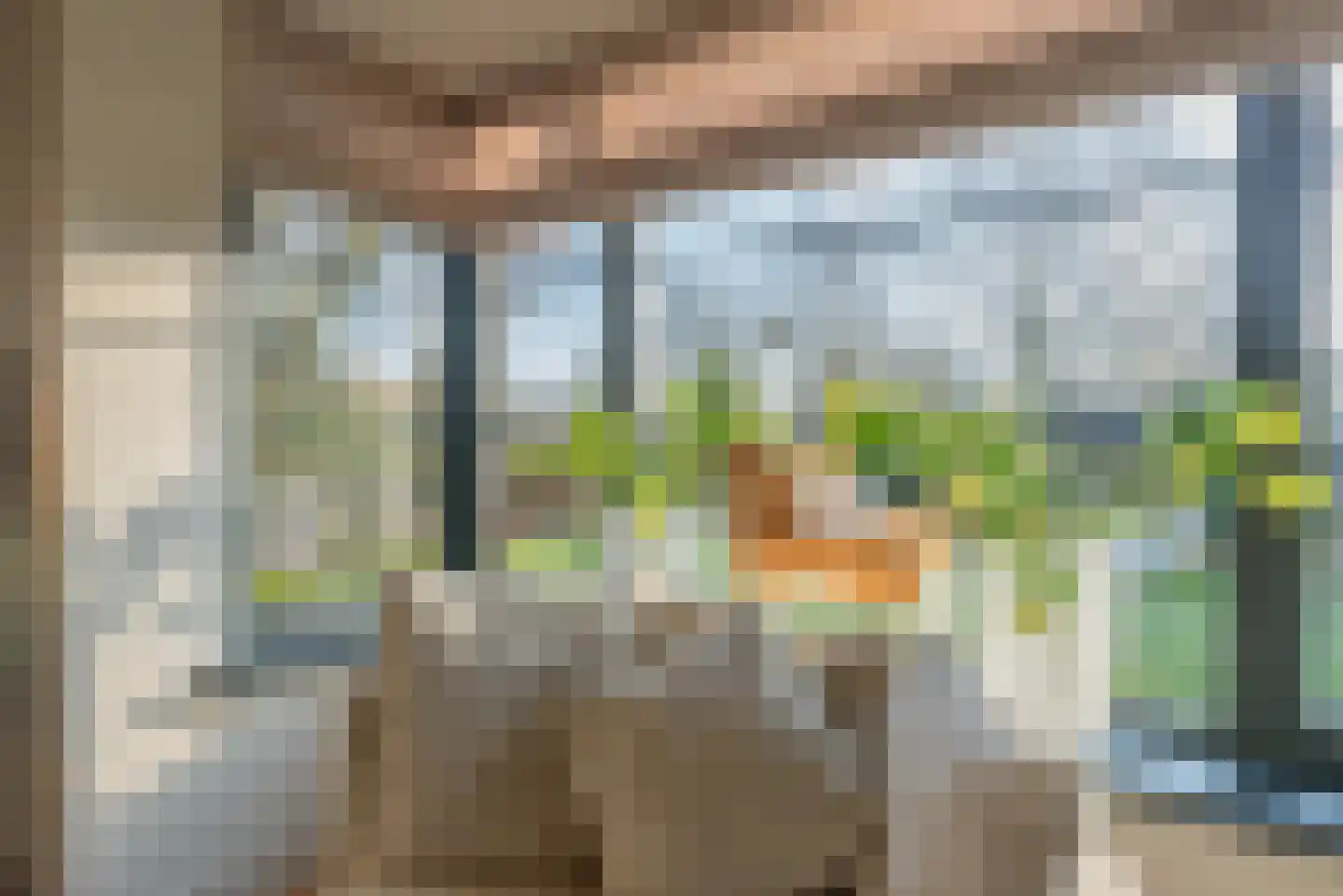 Gooiergracht 117 Laren thumbnail 14