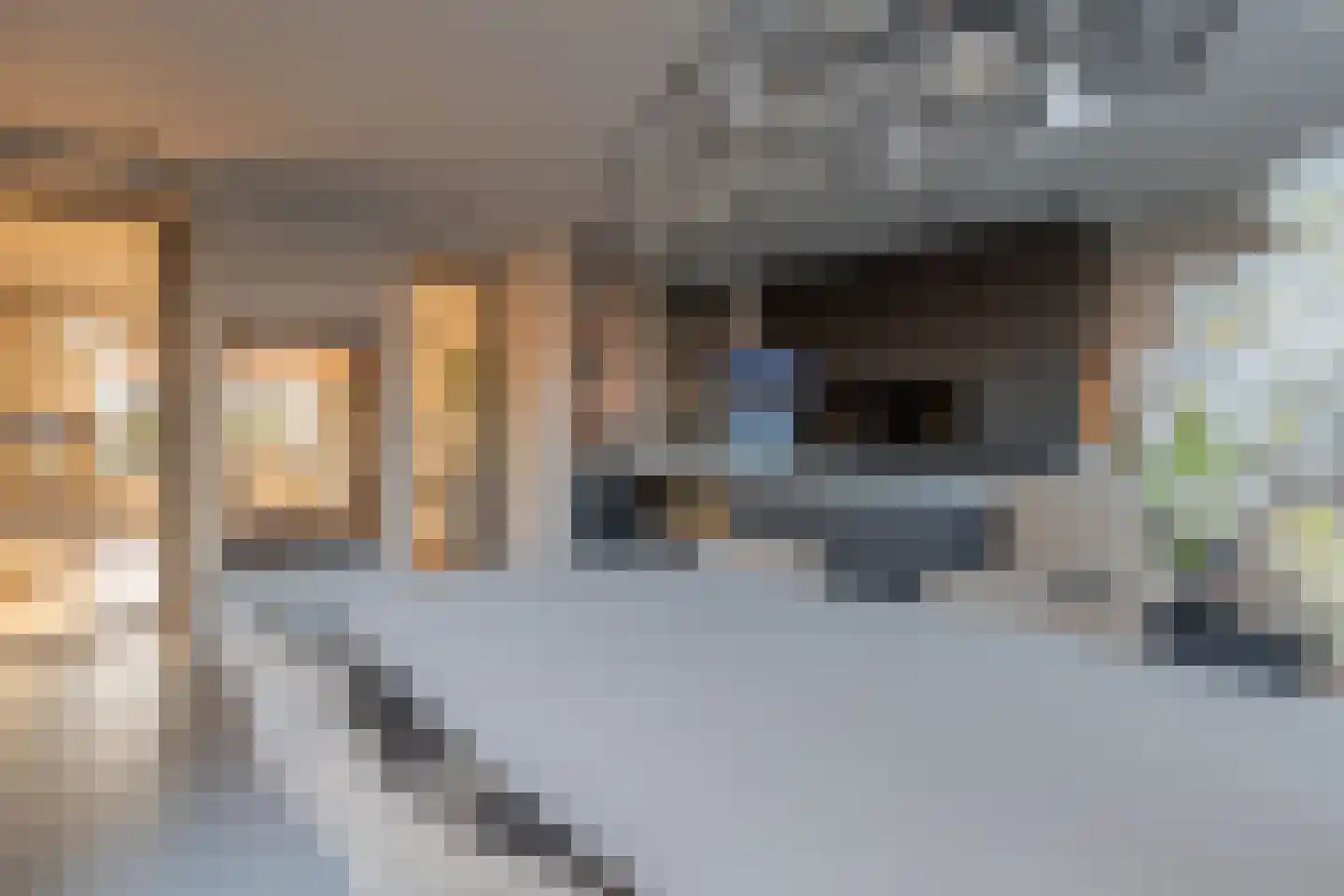 Gooiergracht 117 Laren thumbnail 7