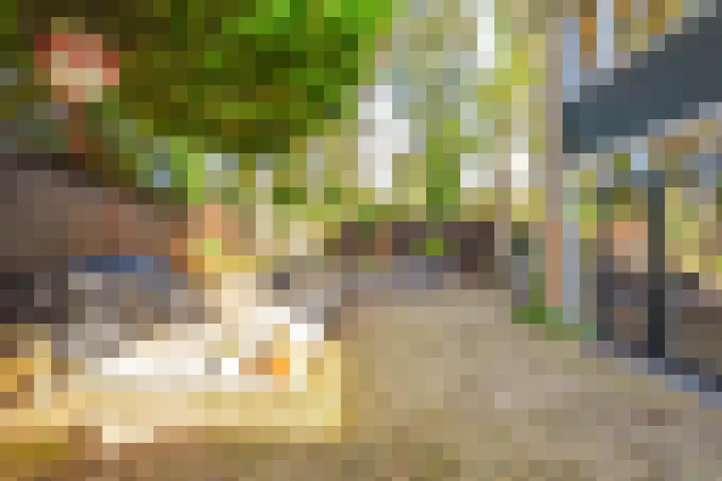 Gooiergracht 199 Laren thumbnail 13