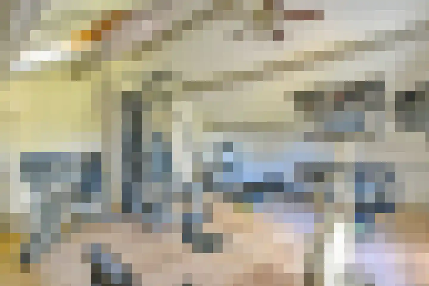 Gooiergracht 199 Laren thumbnail 24