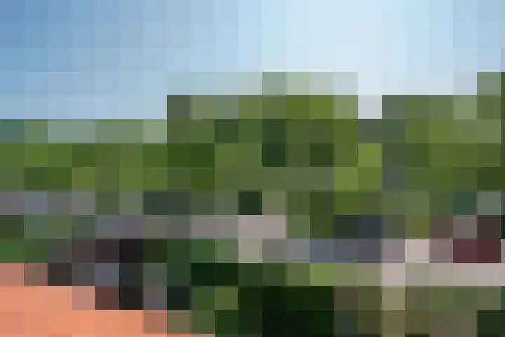 Gooiergracht 79 Laren thumbnail 20