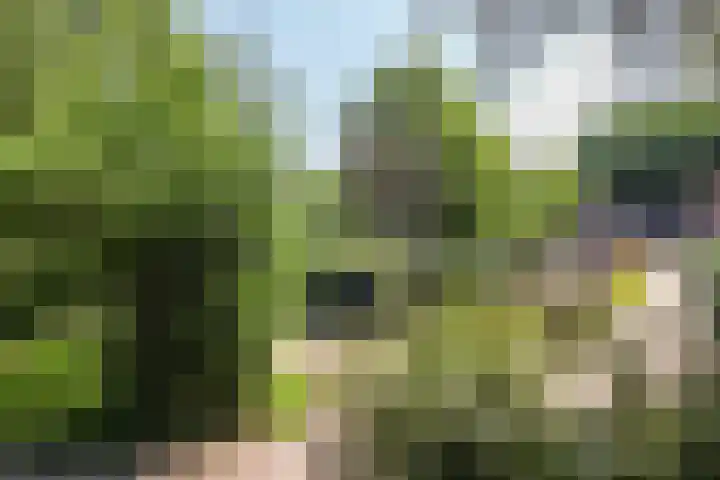 Gooiergracht 79 Laren thumbnail 22