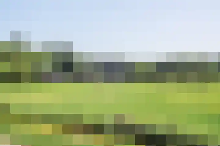 Gooiergracht 79 Laren thumbnail 23