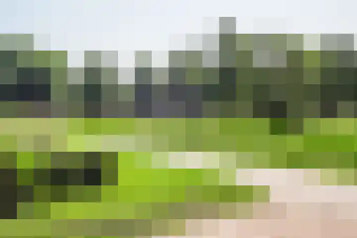 Gooiergracht 79 Laren thumbnail 24