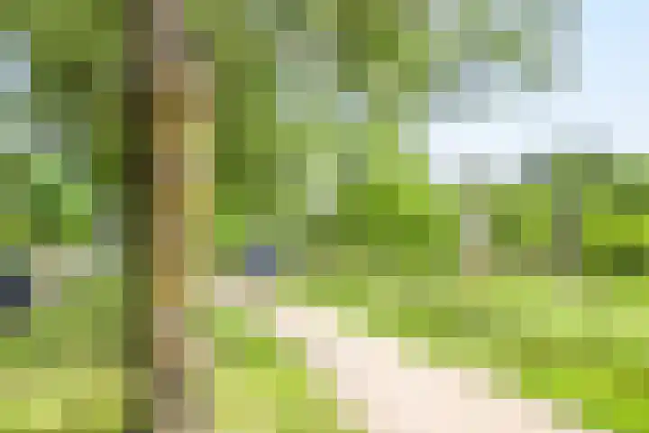 Gooiergracht 79 Laren thumbnail 25