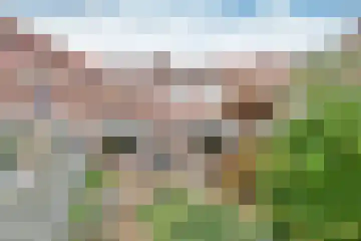Gooierserf 152 Huizen thumbnail 14