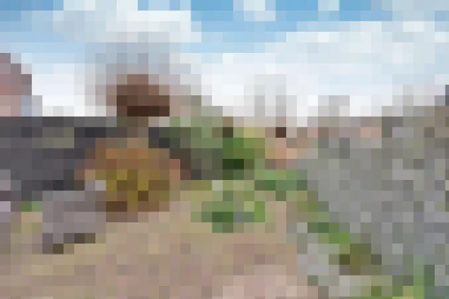 Gooierserf 152 Huizen thumbnail 14
