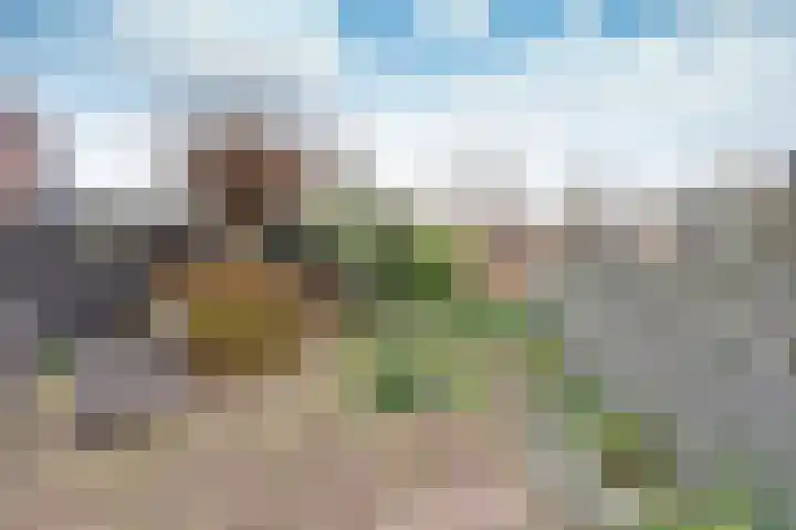 Gooierserf 152 Huizen thumbnail 15
