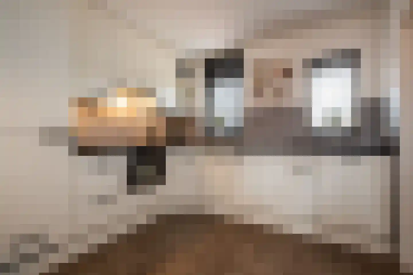 Gooierserf 168 Huizen thumbnail 13