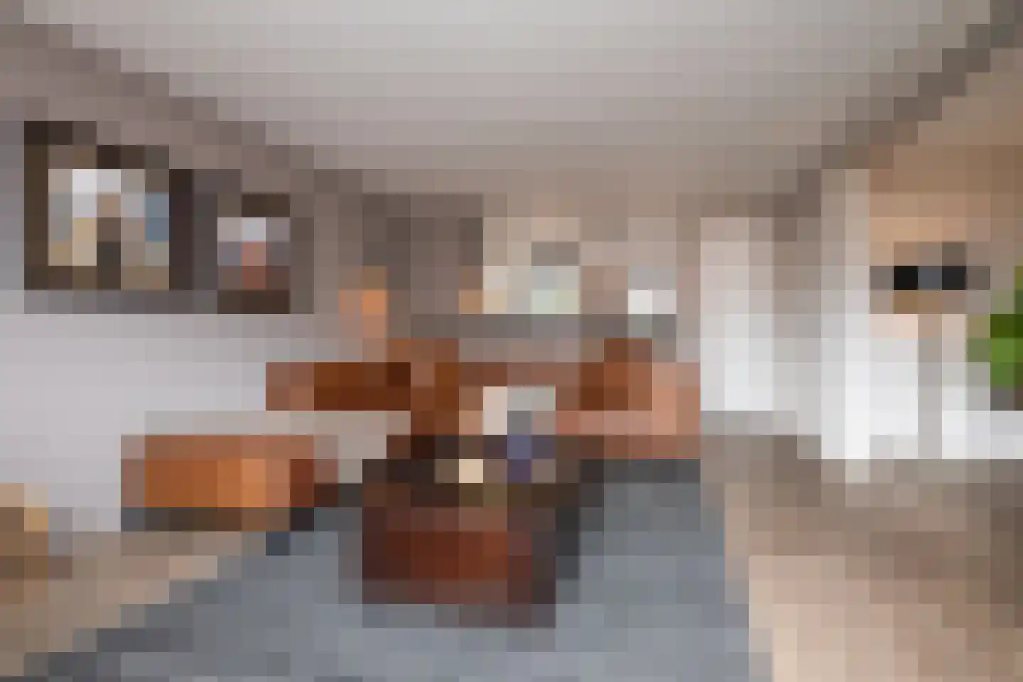 Gooierserf 168 Huizen thumbnail 16
