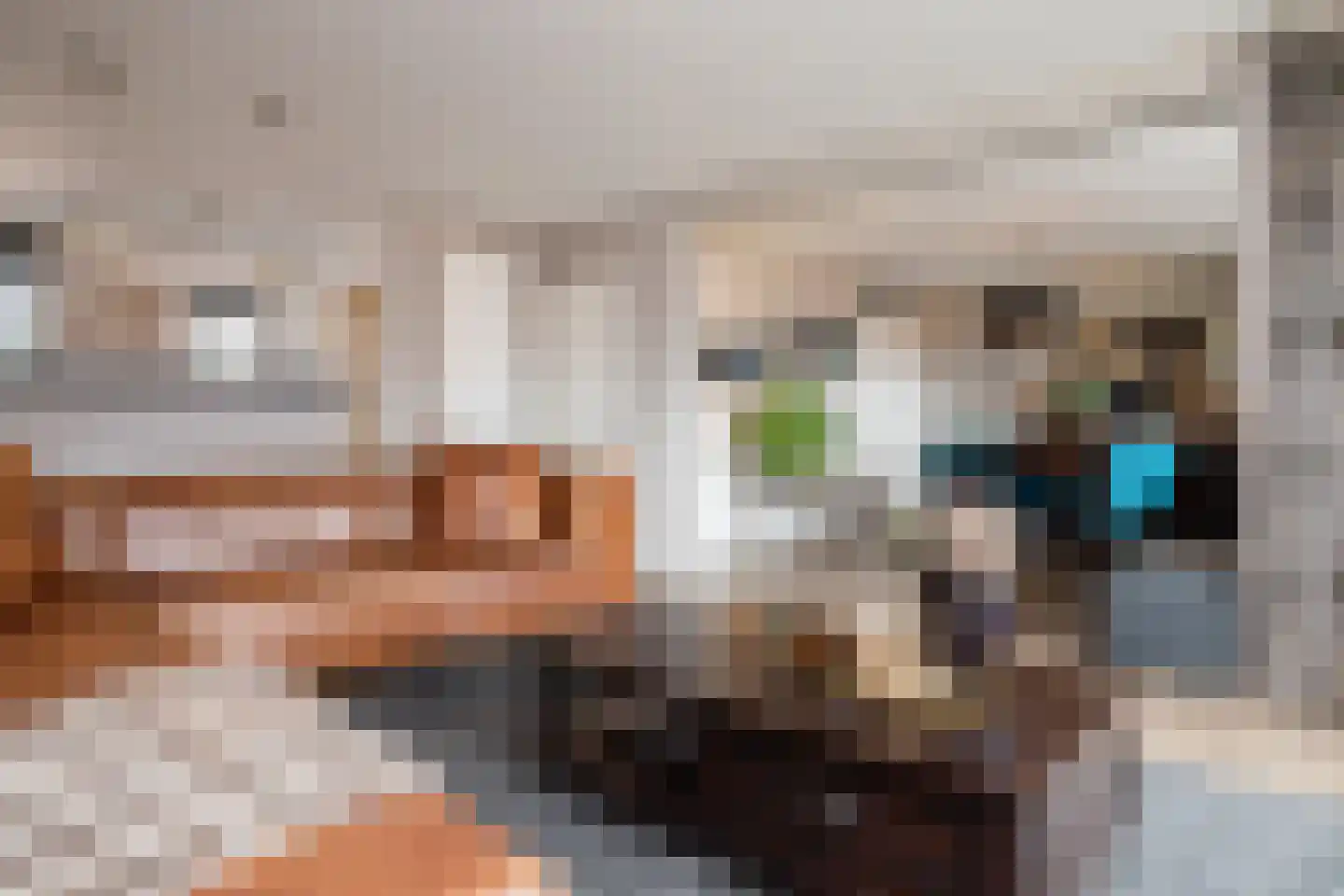Gooierserf 168 Huizen thumbnail 18