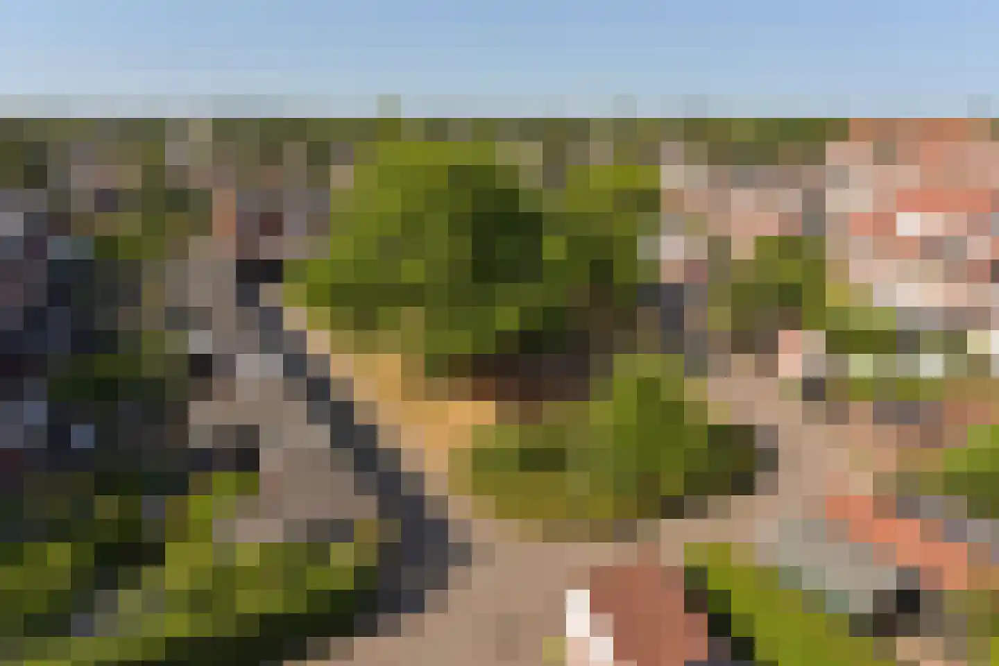 Gooierserf 206 Huizen thumbnail 22