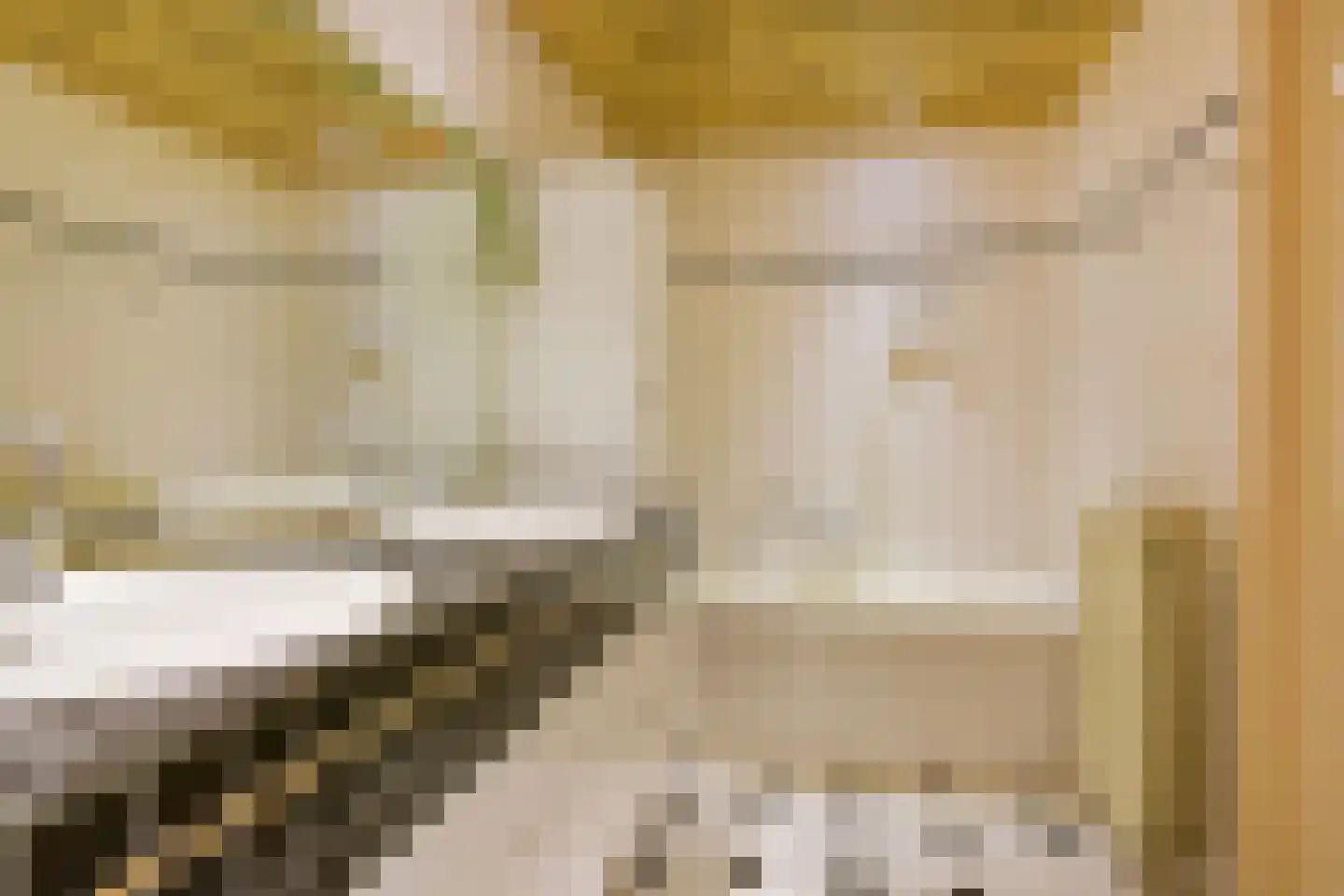 Gooierserf 206 Huizen thumbnail 4