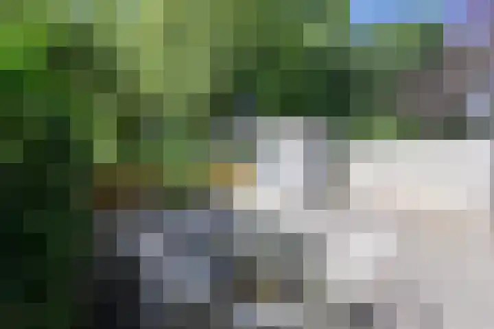 Gooierserf 262 Huizen thumbnail 10