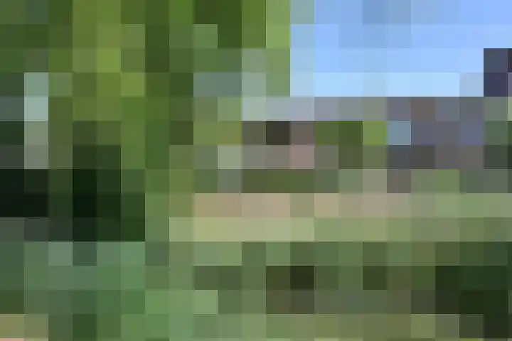 Gooierserf 262 Huizen thumbnail 14