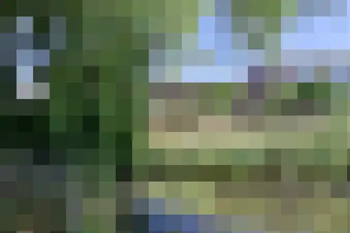Gooierserf 262 Huizen thumbnail 15
