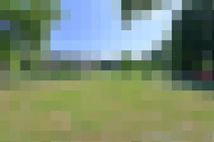 Gooierserf 262 Huizen thumbnail 16