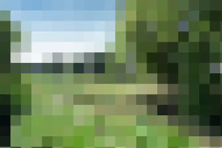 Gooierserf 262 Huizen thumbnail 17