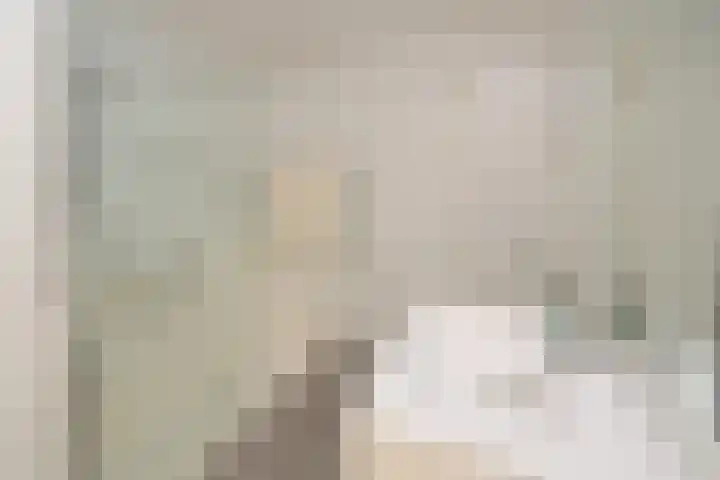 Gooierserf 262 Huizen thumbnail 9