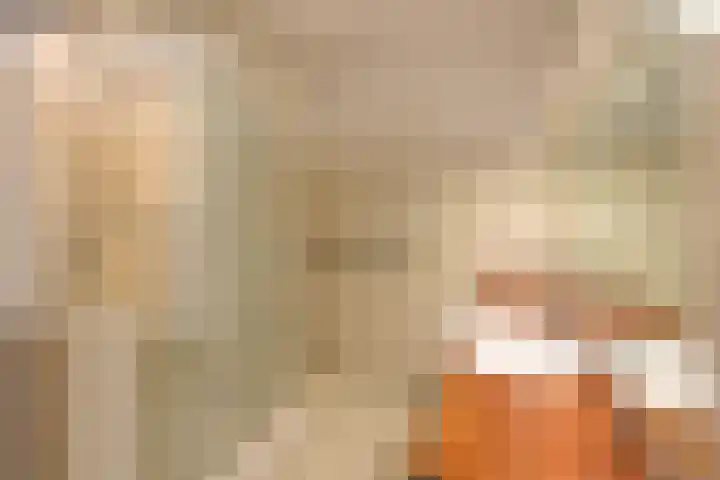 Gooierserf 292 Huizen thumbnail 13