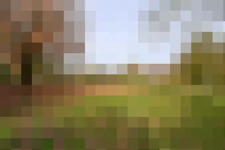 Gooierserf 292 Huizen thumbnail 15