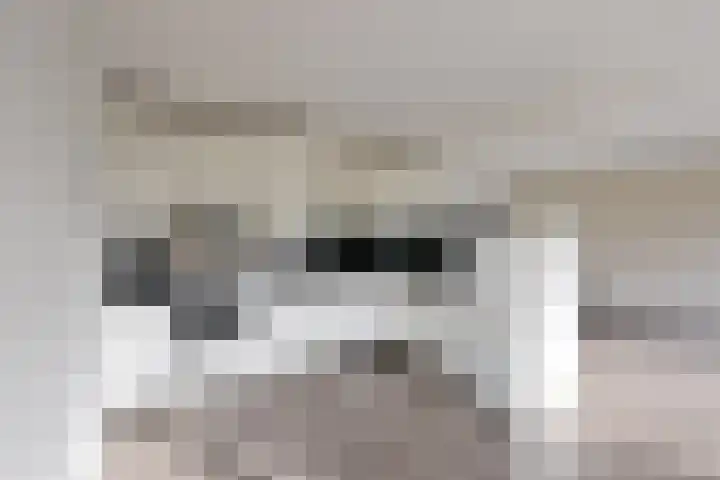 Gooierserf 292 Huizen thumbnail 5