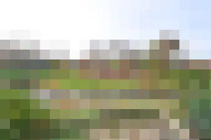 Gooierserf 292 Huizen thumbnail 8