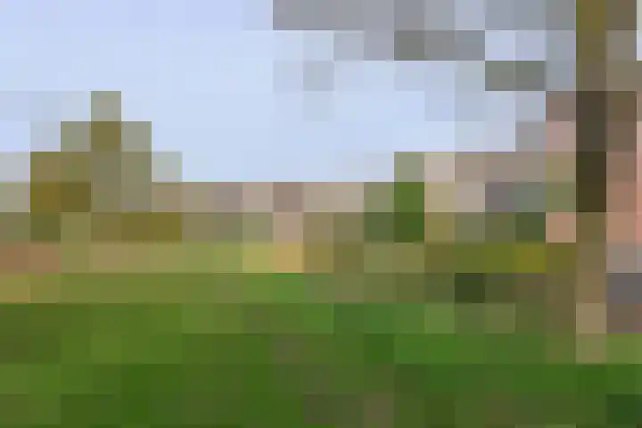 Gooierserf 292 Huizen thumbnail 9